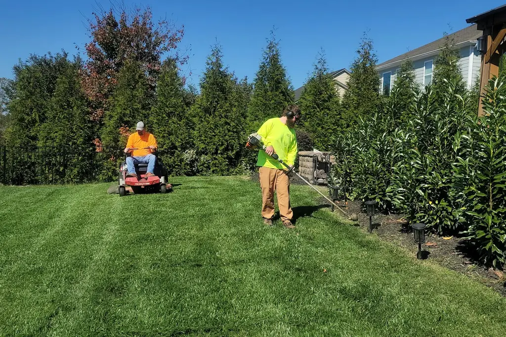 Landscape crew mowing and trimming a lawn